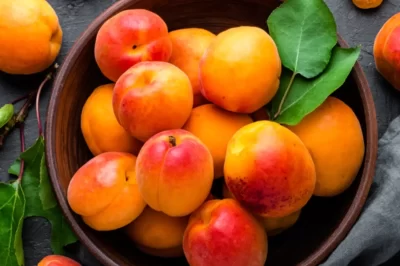 A definitive Manual for Apricots: Investigate The Natural product’s Healthy Medical advantages